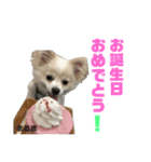 まる君のすたんぷ（個別スタンプ：3）