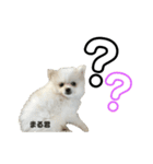 まる君のすたんぷ（個別スタンプ：4）