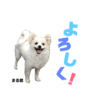 まる君のすたんぷ（個別スタンプ：8）