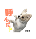 まる君のすたんぷ（個別スタンプ：9）