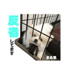 まる君のすたんぷ（個別スタンプ：14）