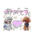 ryotayustamp（個別スタンプ：1）