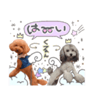 ryotayustamp（個別スタンプ：2）