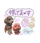 ryotayustamp（個別スタンプ：8）