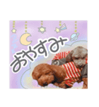 ryotayustamp（個別スタンプ：10）
