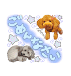 ryotayustamp（個別スタンプ：12）