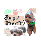 ryotayustamp（個別スタンプ：13）