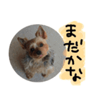 そら.T（個別スタンプ：7）