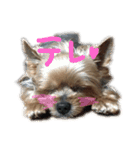 そら.T（個別スタンプ：15）