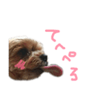 そら.T（個別スタンプ：17）