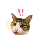むぎわらすたんぷ（個別スタンプ：2）