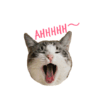 むぎわらすたんぷ（個別スタンプ：4）