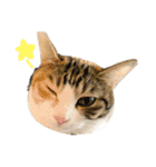 むぎわらすたんぷ（個別スタンプ：9）