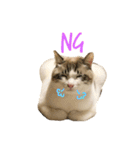 むぎわらすたんぷ（個別スタンプ：11）