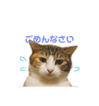 むぎわらすたんぷ（個別スタンプ：14）