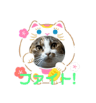 キャンビビちーとつぶミケ2（個別スタンプ：4）