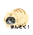 キャンビビちーとつぶミケ2（個別スタンプ：5）
