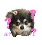 キャンビビちーとつぶミケ2（個別スタンプ：10）