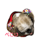 キャンビビちーとつぶミケ2（個別スタンプ：11）