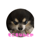 キャンビビちーとつぶミケ2（個別スタンプ：19）