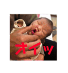 結心スタン（個別スタンプ：10）