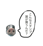ぶーさん2（個別スタンプ：6）