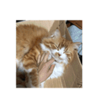 らいおんのおまる（個別スタンプ：10）