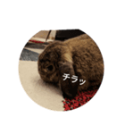 pepino2（個別スタンプ：8）