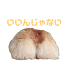 カイルの日常（個別スタンプ：12）