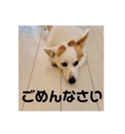 カイルの日常（個別スタンプ：14）