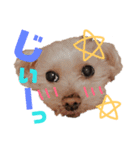 ワン だ フル な日常（個別スタンプ：2）