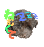 ワン だ フル な日常（個別スタンプ：3）