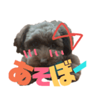 ワン だ フル な日常（個別スタンプ：20）