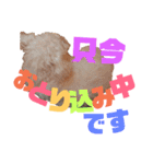 ワン だ フル な日常（個別スタンプ：26）