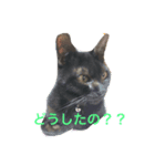 にゃんこりん（個別スタンプ：2）
