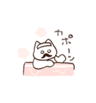トコ子のひげねこスタンプ（個別スタンプ：37）