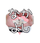 ウチのネコのスタンプ（個別スタンプ：8）