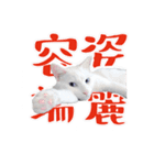 ウチのネコのスタンプ（個別スタンプ：15）