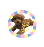 まめもこスタンプ（個別スタンプ：3）