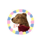 まめもこスタンプ（個別スタンプ：7）