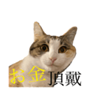 おいなりくんとちくわちゃん3（個別スタンプ：10）