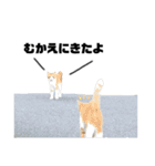 誰でも使えるユニークなねこ〜the cats〜（個別スタンプ：25）