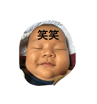 蒼君スタンプNO1（個別スタンプ：1）