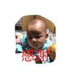 蒼君スタンプNO1（個別スタンプ：4）