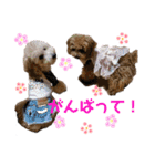 良太とゆかいな仲間たち❷（個別スタンプ：1）