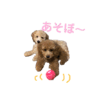 良太とゆかいな仲間たち❷（個別スタンプ：2）