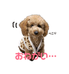 良太とゆかいな仲間たち❷（個別スタンプ：3）