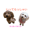 良太とゆかいな仲間たち❷（個別スタンプ：5）
