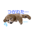 良太とゆかいな仲間たち❷（個別スタンプ：11）