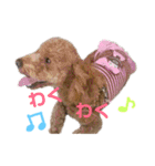 良太とゆかいな仲間たち❷（個別スタンプ：16）